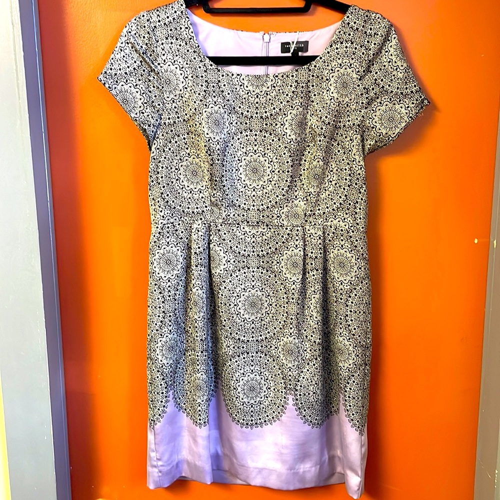 The Limited Petite Dress size 6